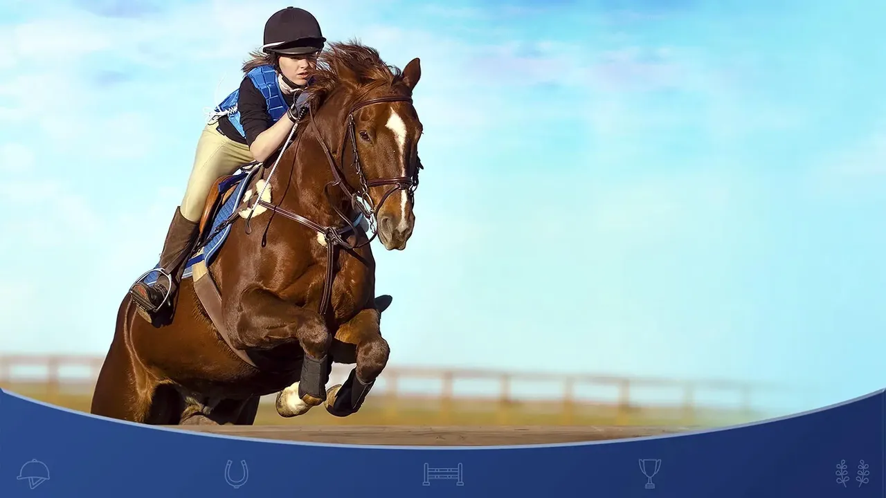 Equestrian Training background