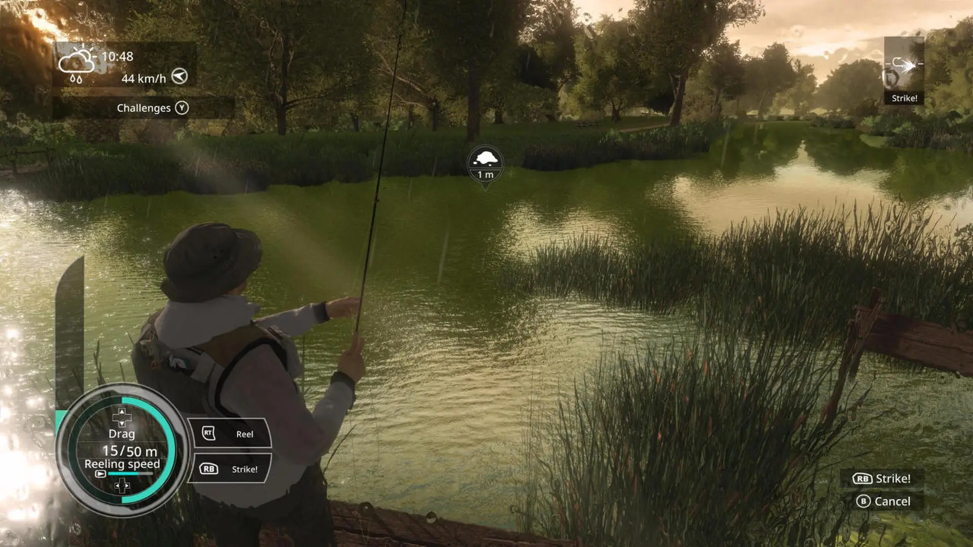 View screenshot 2
