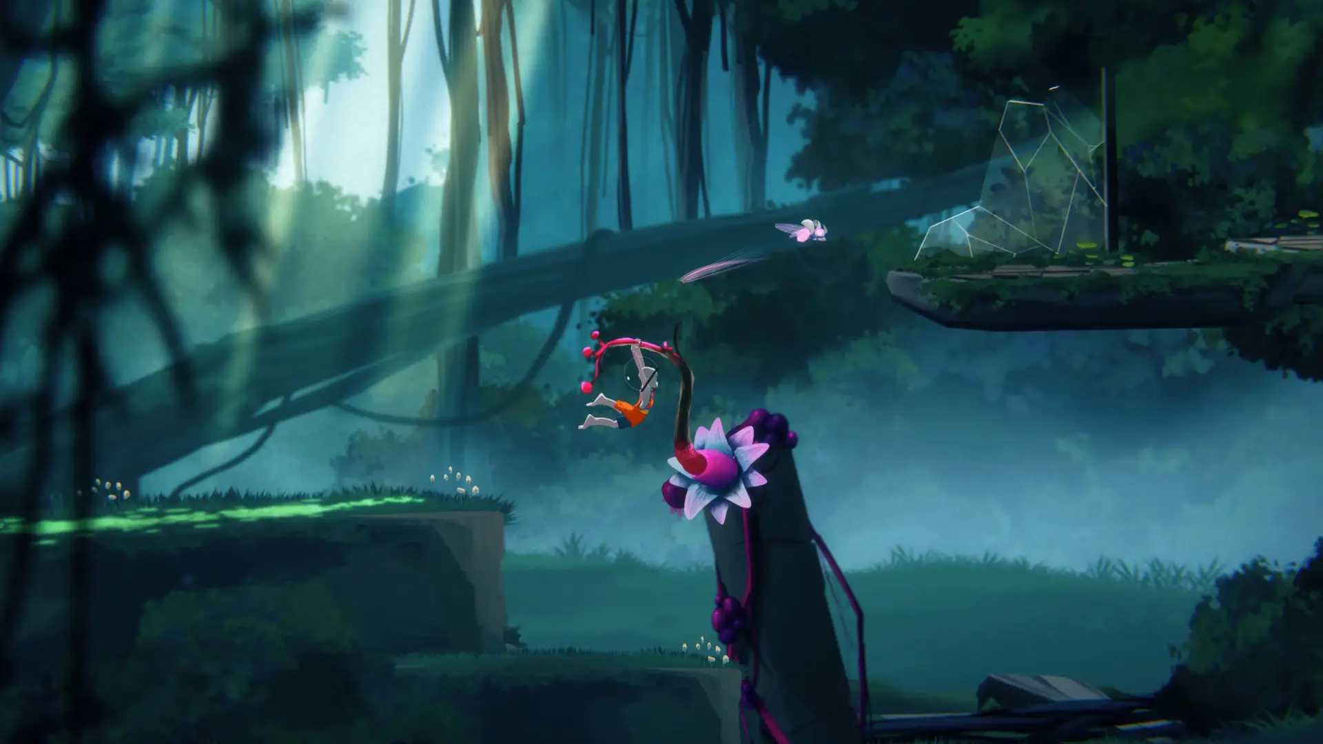 View screenshot 5